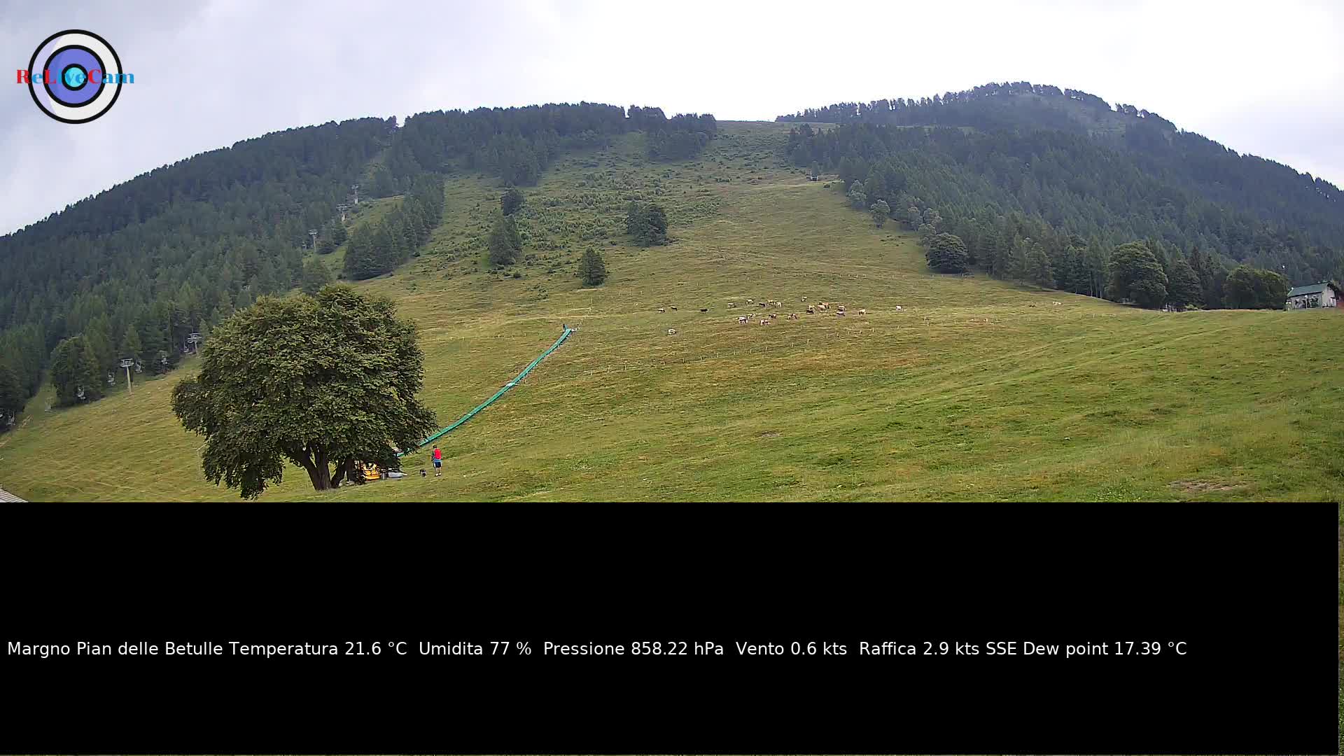 Timelapse del 25/06/2026
