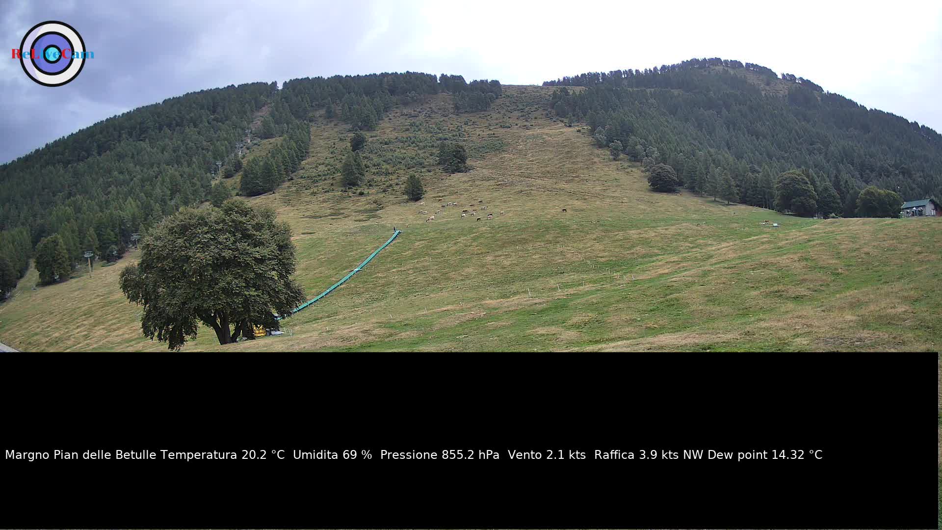 Timelapse del 28/08/2026